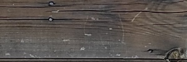 verdibus Profile Banner