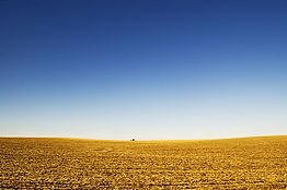 NodakCompliment's profile banner image