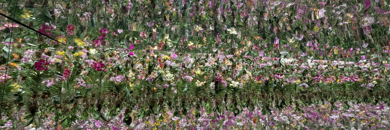 Daniel Tedesco banner