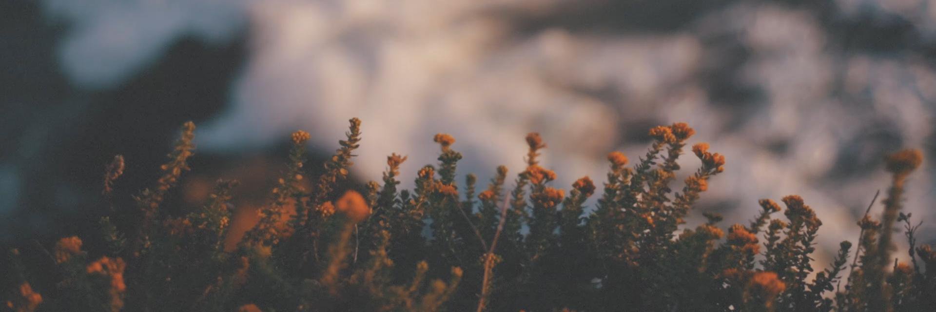 HeaslipTeejay's profile banner image