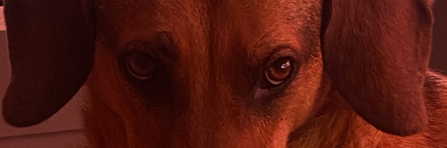 Deicyindira's profile banner image