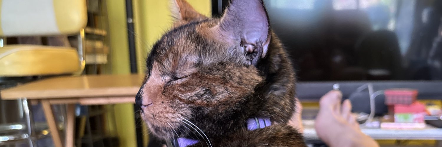 yrrepeoj's profile banner image
