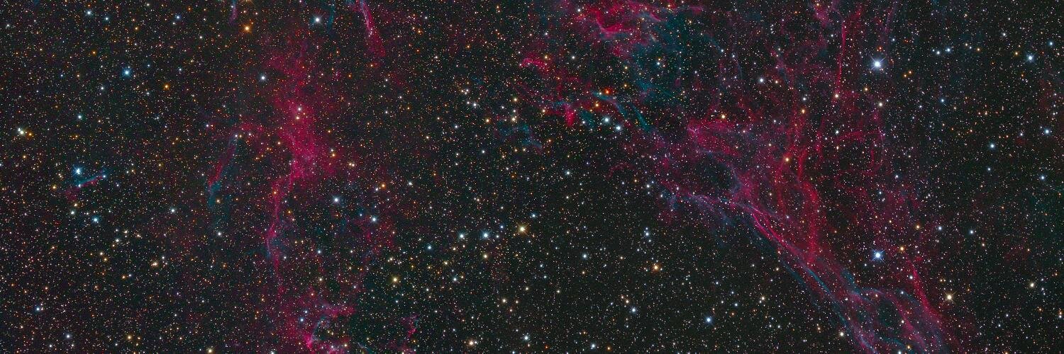 Allison Mertzman banner