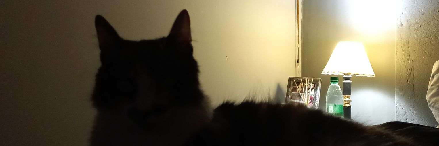 vanessarceliva's profile banner image