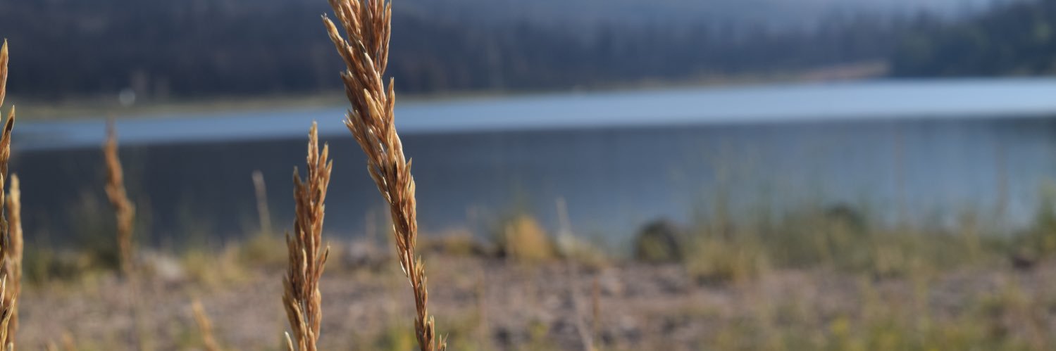 adenaleighh's profile banner image