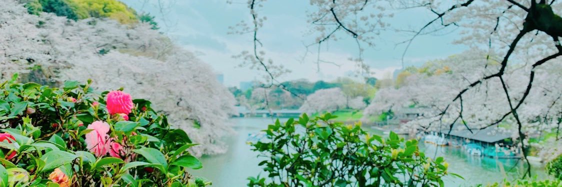 さくら@札幌市 banner