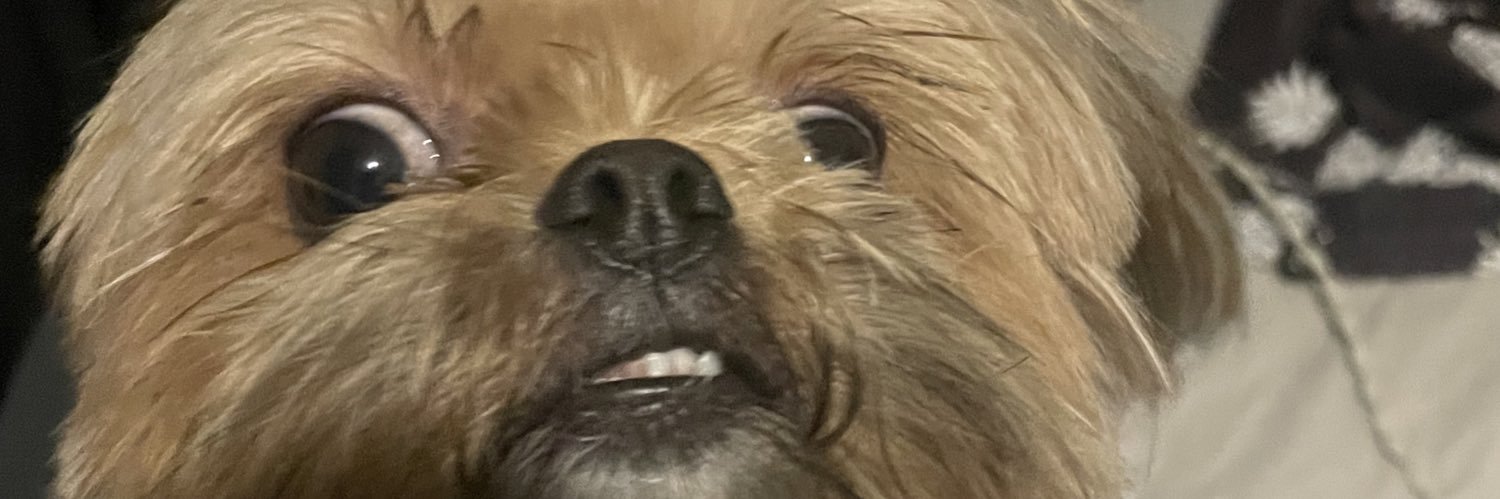 ramngele's profile banner image