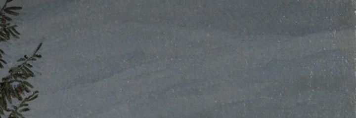 MaojiaL's profile banner image