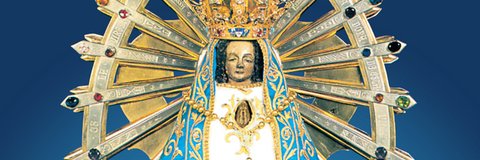 feboasoma (ella)'s banner