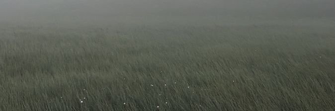َ banner