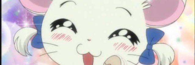 🐹n banner