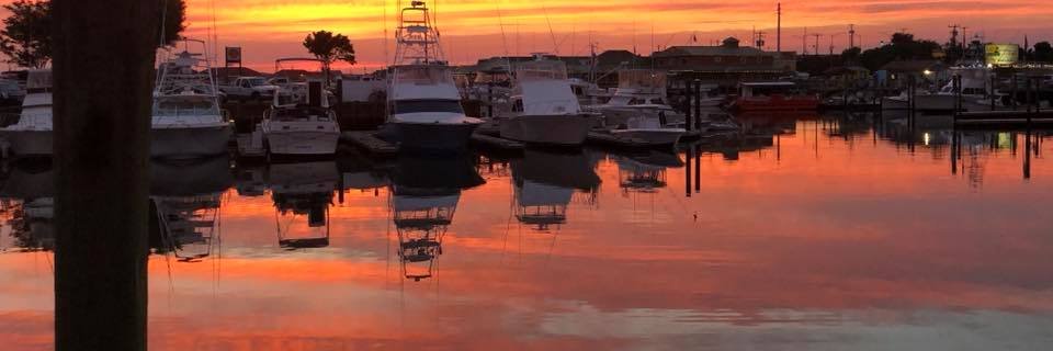 C__Lynn's profile banner image