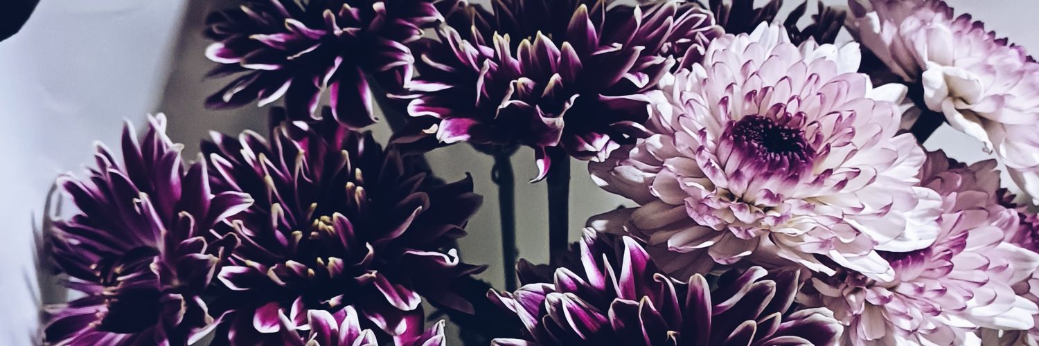 rogiampablo's profile banner image