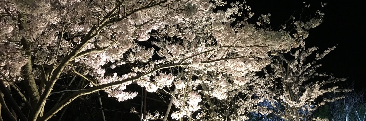 3110des's profile banner image