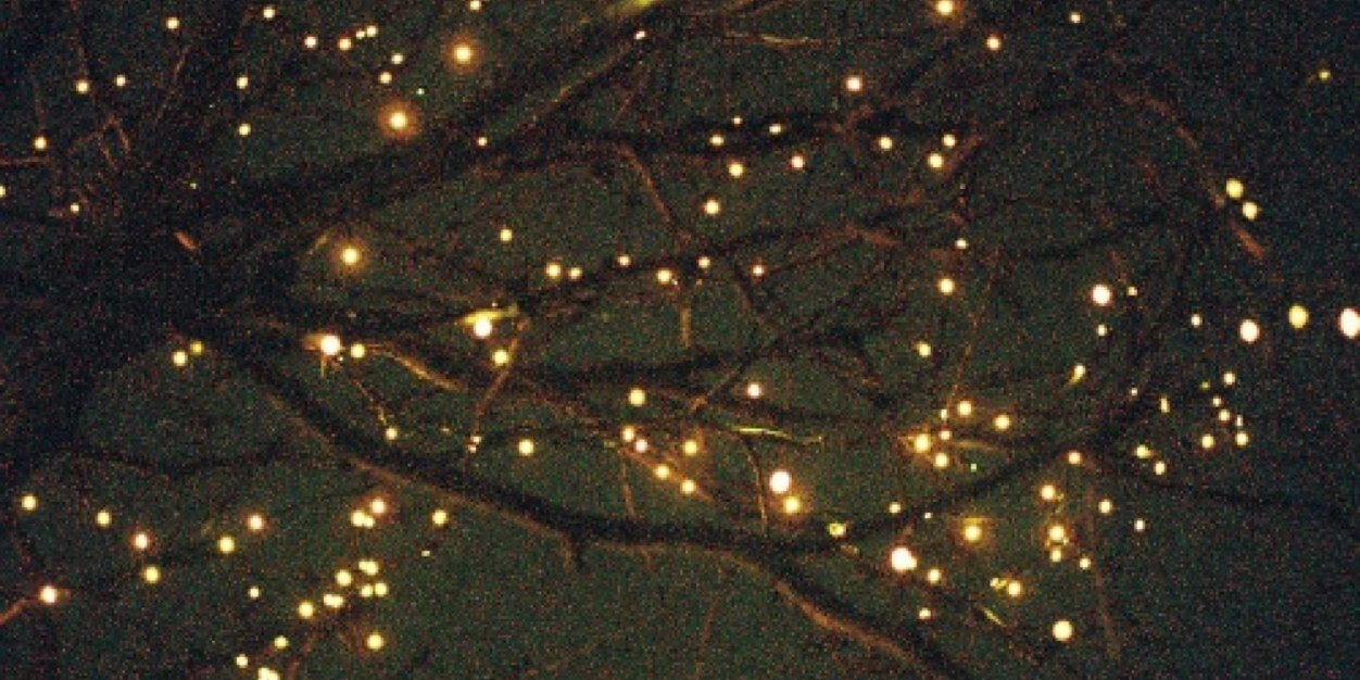 abigailjeeen's profile banner image