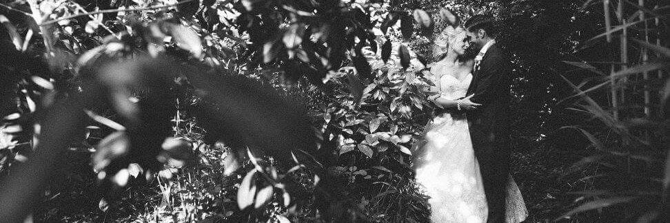 katiebaum88's profile banner image