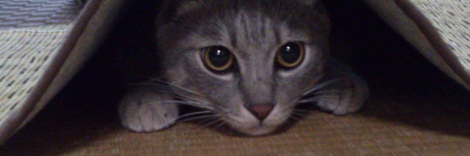 高田 仁美 banner