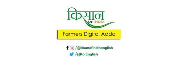 KoiEnglish Profile Banner