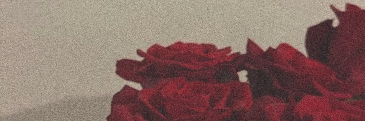prediprincess's profile banner image