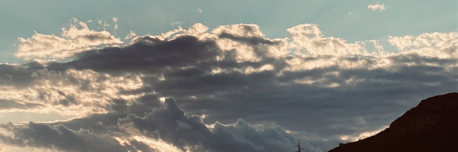 VevaLalli's profile banner image