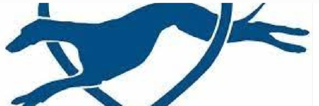 Greyhound Action Ireland banner