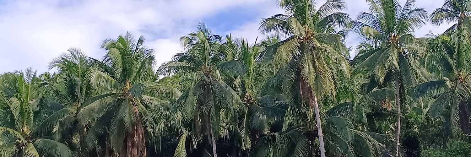 itsdiday_yall's profile banner image