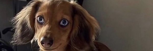 badgate Profile Banner