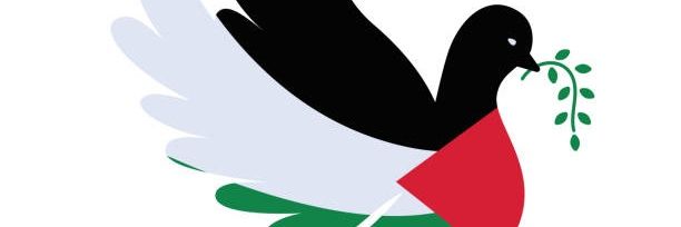 GUN ANA🇹🇷͜͜͡͡✯🍉🕊️ banner