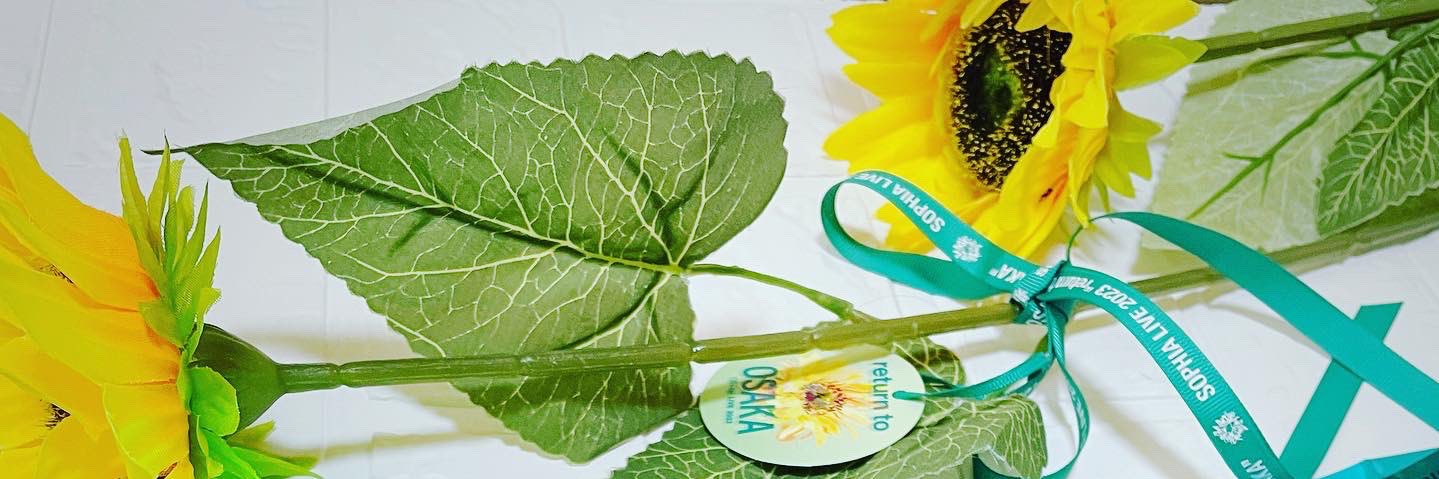 さやPサボり中 banner