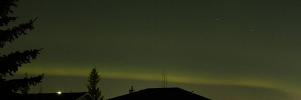 rogernelson Profile Banner