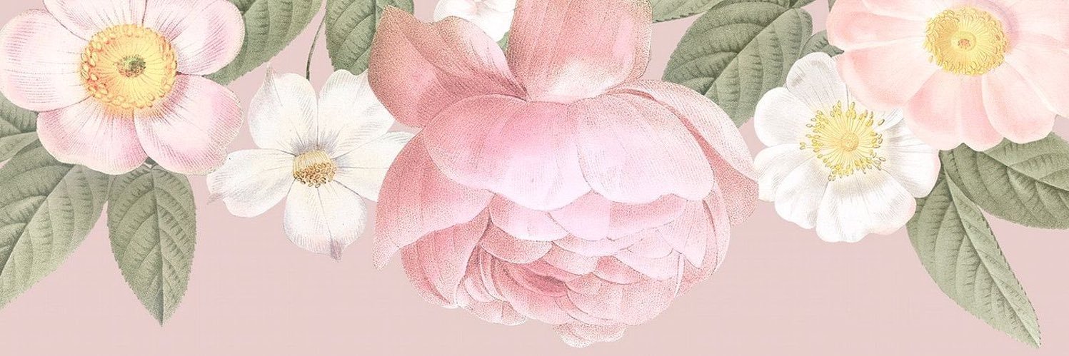 dianandris's profile banner image