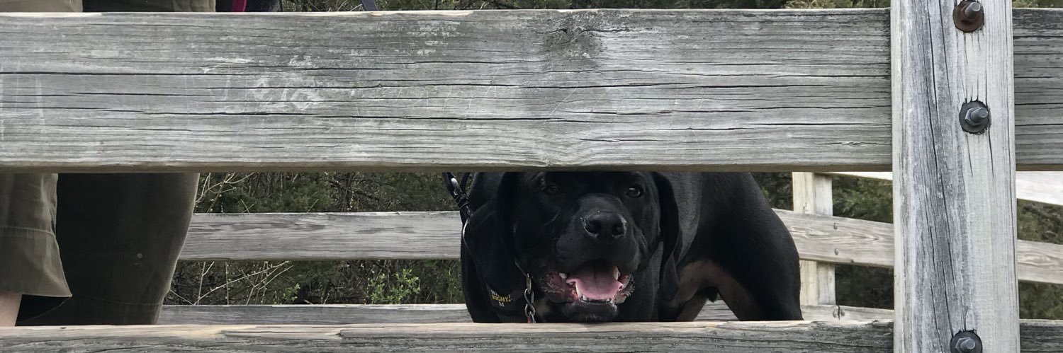 jmur34's profile banner image