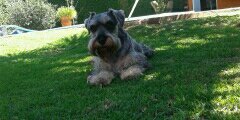 paulimaffini's profile banner image