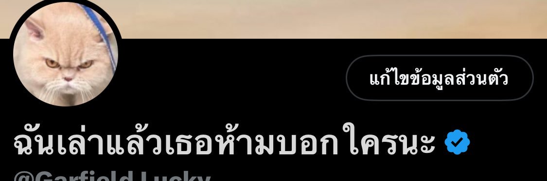 เรื่องที่มึงเล่า ไม่มีใครดีเท่าแม่มึงแล้ว's banner