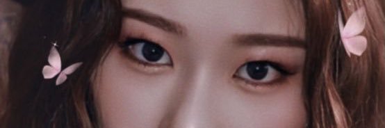 Petunia Evans banner
