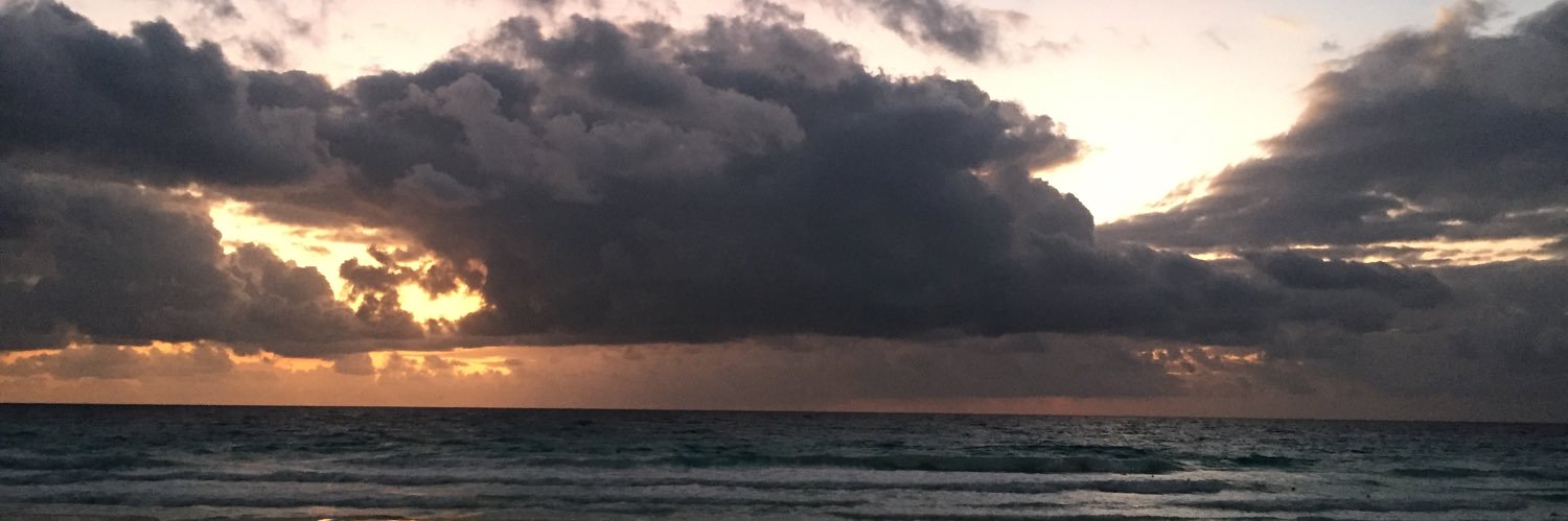 AdrianDom89's profile banner image