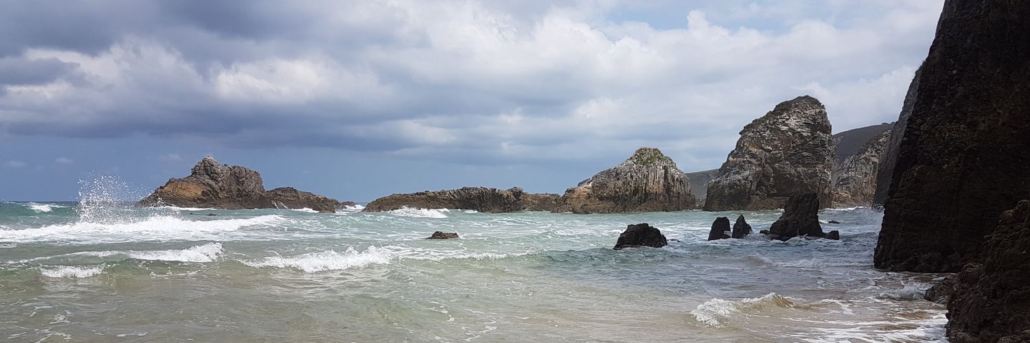 Belavedra's profile banner image