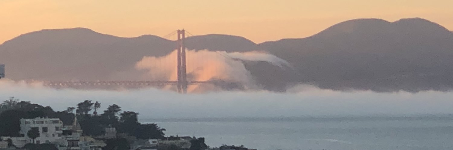 Christine Pelosi's banner