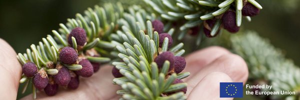 OptFORESTS Profile Banner