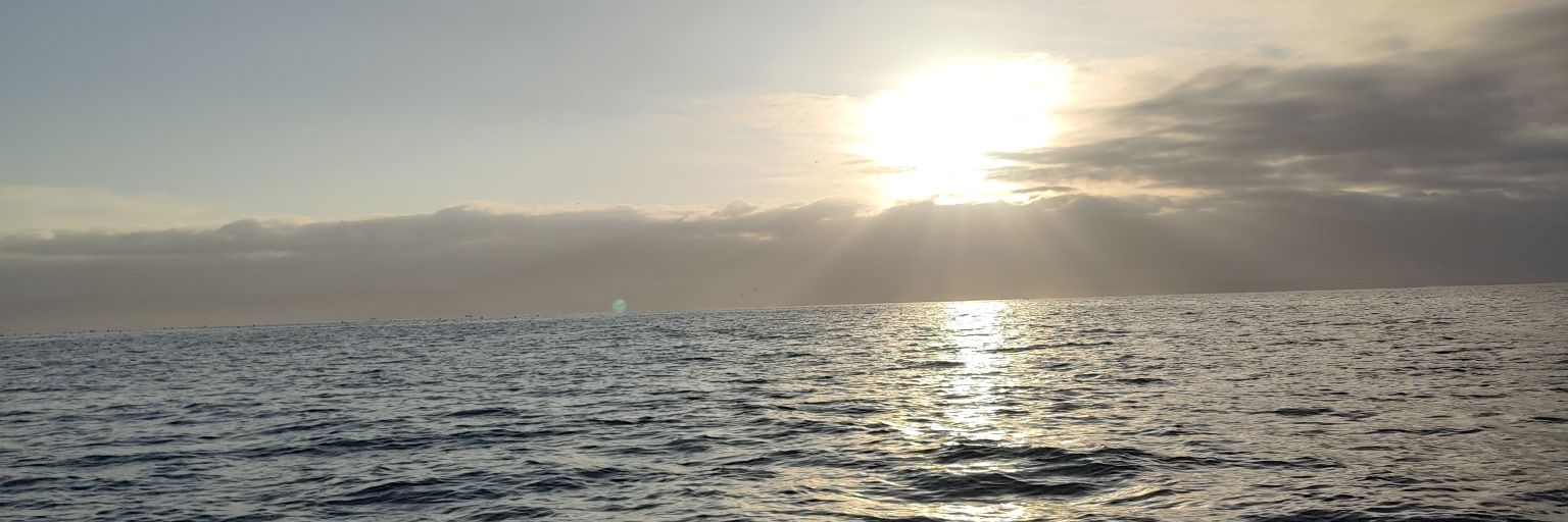 aleGcalderon's profile banner image