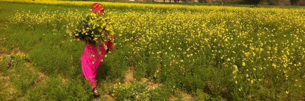 sitaramlamba Profile Banner