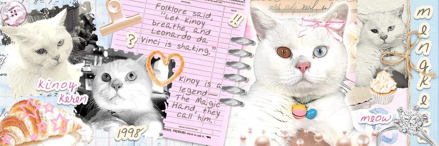Kinoy. 🐈🍰 - tes DM sblm kirim format order!'s banner