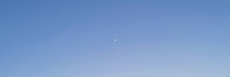 月ノ音(偽りの月)'s banner