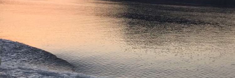 hos3687's profile banner image