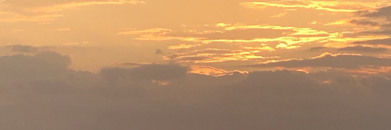 stephjgentile's profile banner image