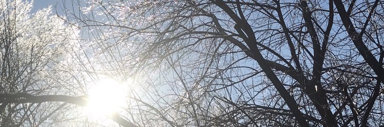 KerryShep banner