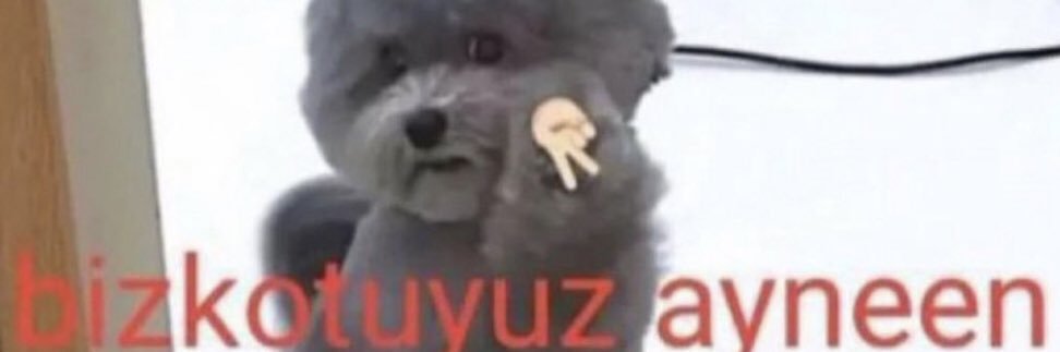 elvaniserii's profile banner image