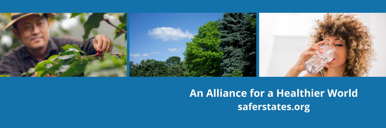 Safer States's banner