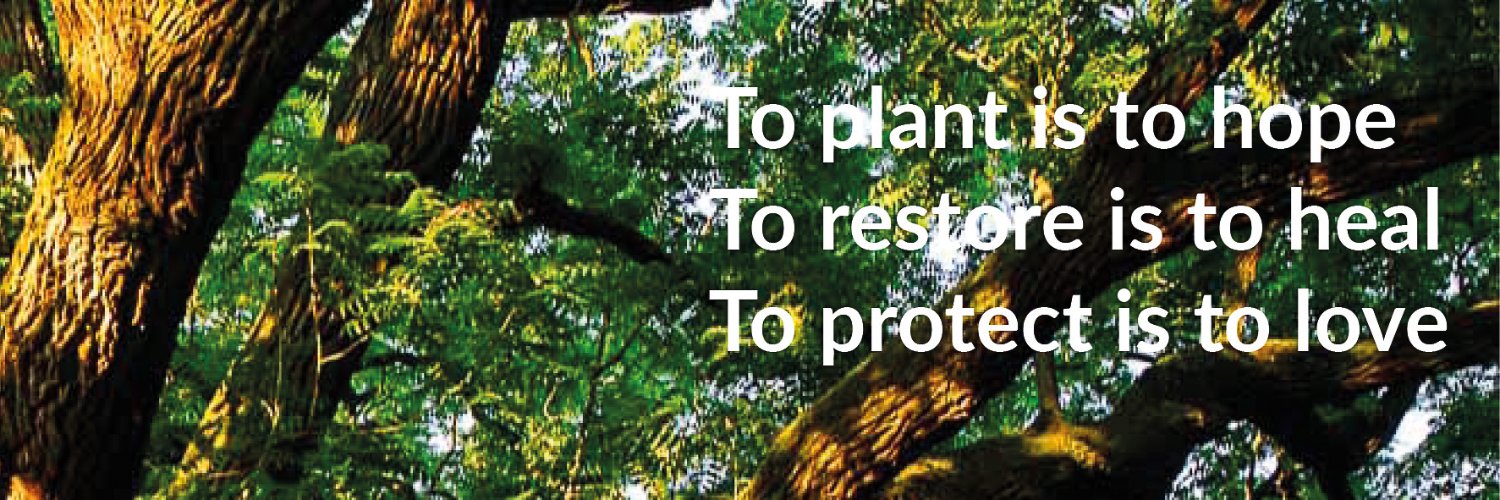 Communion Forest banner