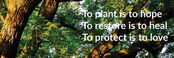 CommunionForest Profile Banner